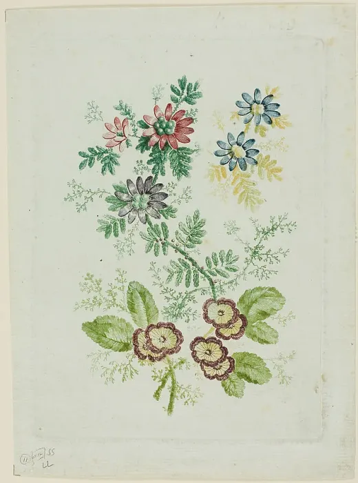 Framed Print : Flowers, 1796 / 1808. Creator: Anne Allen Framed Print : Flowers, 1796 / 1808. Creator: Anne Allen
