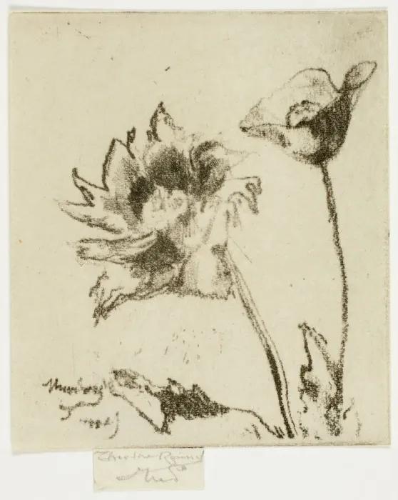 Framed Print : Two Flowers, 1890-95. Creator: Theodore Roussel Framed Print : Two Flowers, 1890-95. Creator: Theodore Roussel