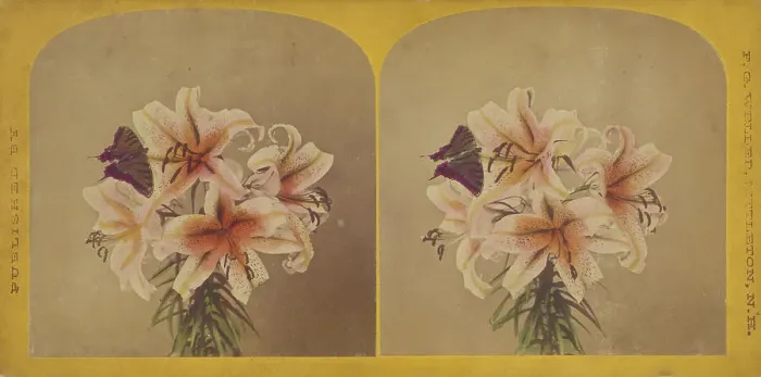 Framed Print : Flowers with butterfly, about 1870. Creator: F. G. Weller Framed Print : Flowers with butterfly, about 1870. Creator: F. G. Weller