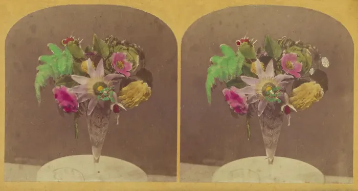 Framed Print : Flowers in clear glass vase, about 1870-1880. Creator: Unknown Framed Print : Flowers in clear glass vase, about 1870-1880. Creator: Unknown