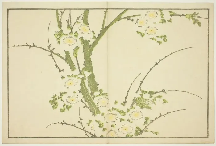Framed Print : Flowers, from The Picture Book of Realistic Paintings of Hokusai (Hokusai shashin) Framed Print : Flowers, from The Picture Book of Realistic Paintings of Hokusai (Hokusai shashin)