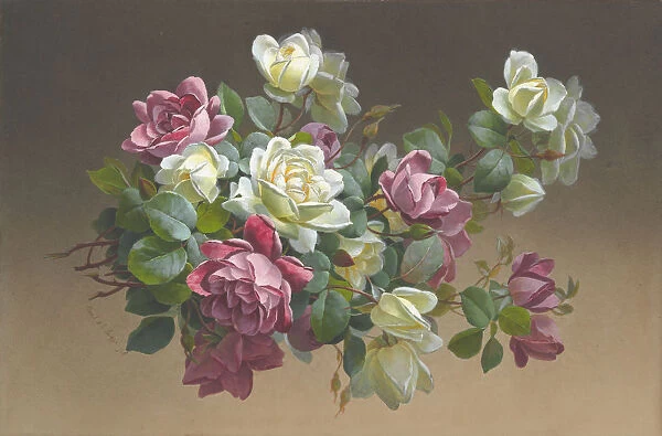 Flowers: Roses, late 19th-early 20th century. Creator: Paul de Longpré
