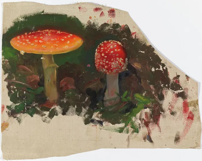 Framed Print : Two Fly Agarics, sketch for the painting Fairy Tale Princess, c1895-1896. Creator: Torsten Wasastjerna Framed Print : Two Fly Agarics, sketch for the painting Fairy Tale Princess, c1895-1896. Creator: Torsten Wasastjerna