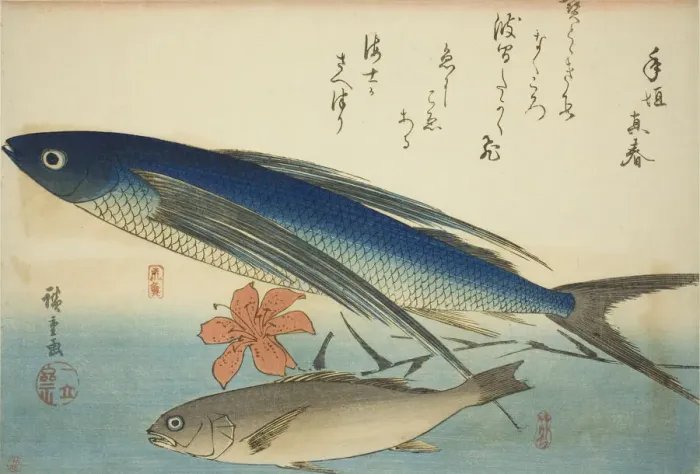 Framed Print : Flying fish and Ichimochi, from an untitled series of fish, c. 1840 / 42. Creator: Ando Hiroshige Framed Print : Flying fish and Ichimochi, from an untitled series of fish, c. 1840 / 42. Creator: Ando Hiroshige