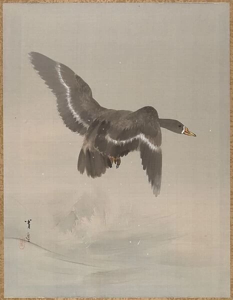 Flying Goose, ca. 1887. Creator: Watanabe Seitei