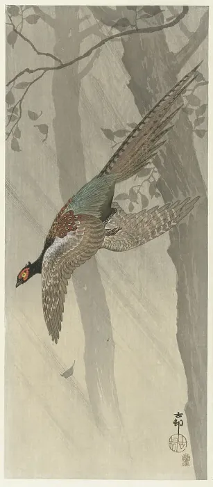 Framed Print : Flying pheasant, Between 1900 and 1915. Creator: Ohara, Koson (1877-1945) Framed Print : Flying pheasant, Between 1900 and 1915. Creator: Ohara, Koson (1877-1945)