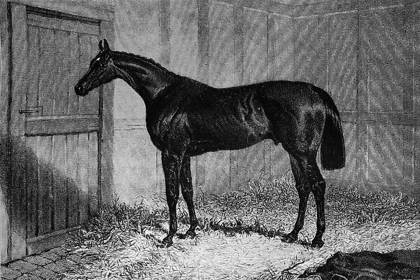 Foig-A-Ballagh, c1841-1860, (1911)