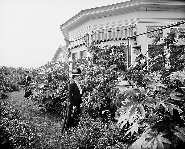 Foliage and east window of officers club, National Cash Register [Company], Dayton, Ohio, (1902?). Creator: William H. Jackson