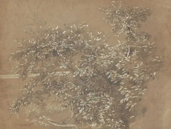 Framed Print : Foliage, late 19th century. Creator: William Trost Richards Framed Print : Foliage, late 19th century. Creator: William Trost Richards
