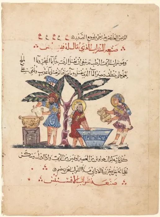 Framed Print : Folio from an Arabic translation of the Materia Medica of Dioscorides, 1224. Creator Framed Print : Folio from an Arabic translation of the Materia Medica of Dioscorides, 1224. Creator