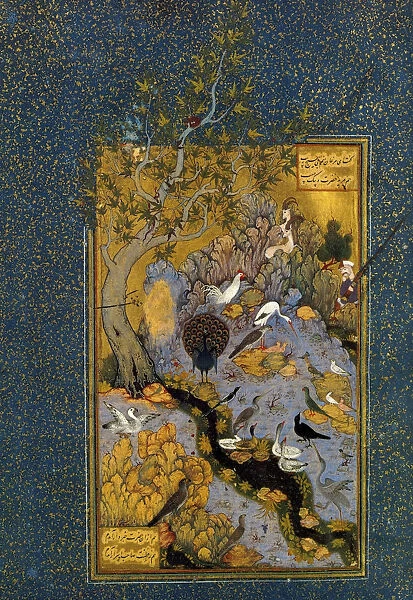 Folio from Mantiq al-Tayr (The Language of the Birds), by Attar, c1600. Artist: Habib Allah