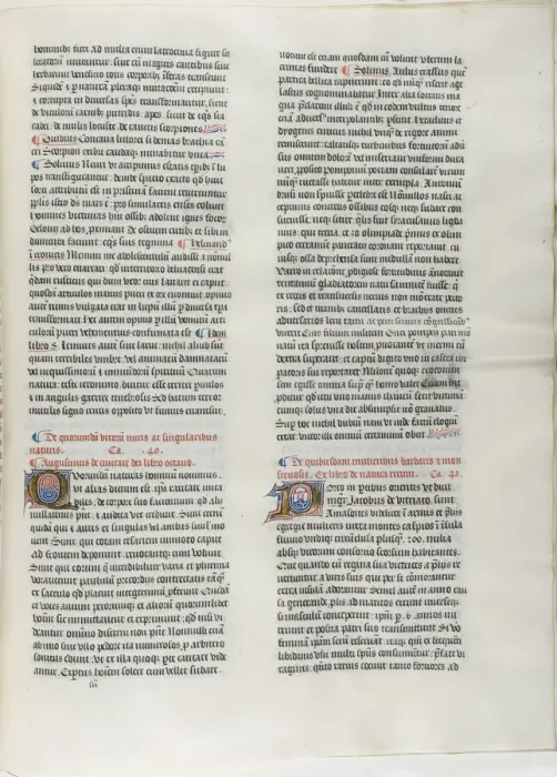 Framed Print : Folio Thirteen from Burchard of Sions De locis ac mirabilibus mundi, or an Illuminated... c. 1460. Creator: Burchard of Mount Sion Framed Print : Folio Thirteen from Burchard of Sions De locis ac mirabilibus mundi, or an Illuminated... c. 1460. Creator: Burchard of Mount Sion
