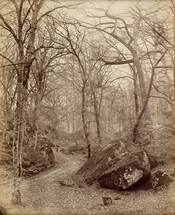 Framed Print : Fontainebleau, about 1870. Creator: Charles Victor Famin Framed Print : Fontainebleau, about 1870. Creator: Charles Victor Famin