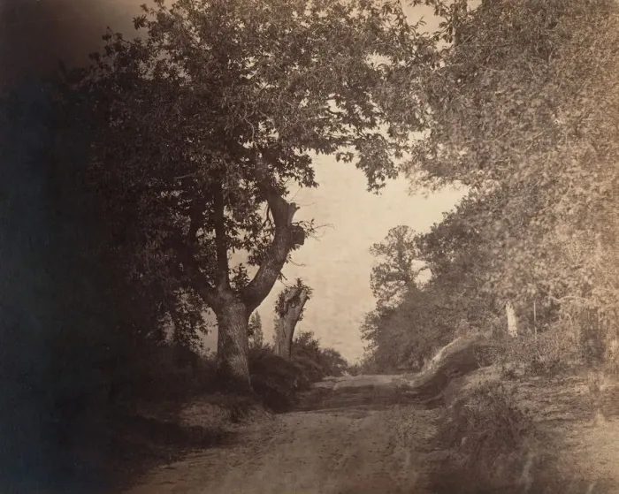 Framed Print : Fontainebleau, chemin sablonneux montant, ca. 1856. Creator: Gustave Le Gray Framed Print : Fontainebleau, chemin sablonneux montant, ca. 1856. Creator: Gustave Le Gray