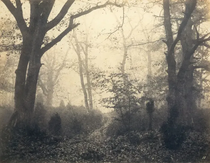 Framed Print : [Fontainebleau Forest], early 1860s. Creator: Eugene Cuvelier
