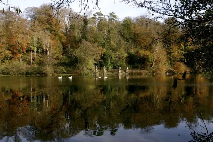 Framed Print : Fonthill Estate lake, Wiltshire, 2005 Framed Print : Fonthill Estate lake, Wiltshire, 2005
