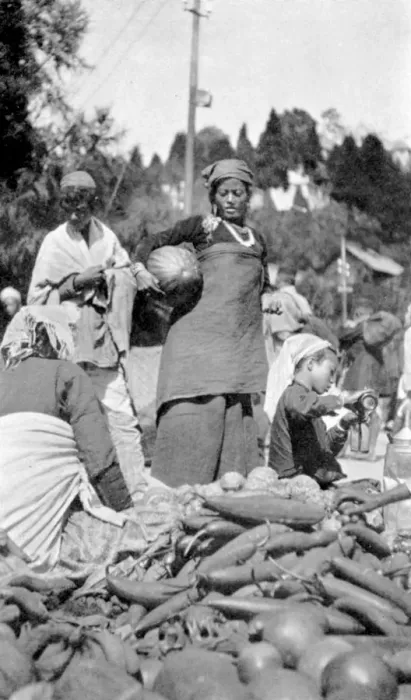 Framed Print : A food market in Darjeeling, West Bengal, India, c1910 Framed Print : A food market in Darjeeling, West Bengal, India, c1910