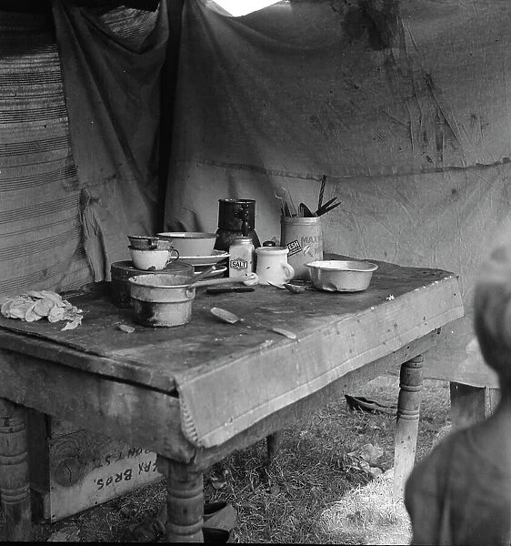 Food supply of migrant family, American River camp near Sacramento, California, 1936. Creator: Dorothea Lange