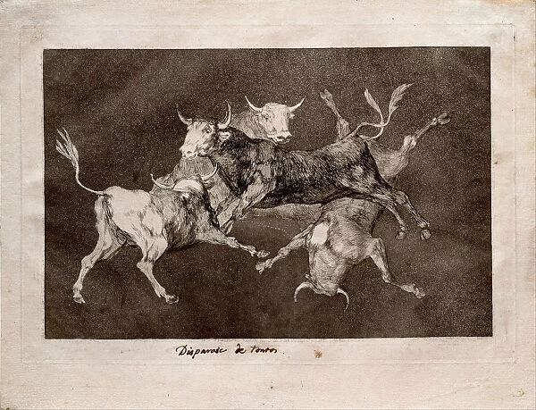 Fools Folly (from the series Los Disparates (Follies), 1815-1819. Artist: Goya, Francisco, de (1746-1828)