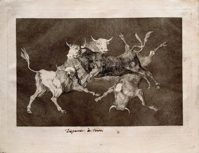 Framed Print : Fools Folly (from the series Los Disparates (Follies), 1815-1819. Artist: Goya, Francisco, de (1746-1828) Framed Print : Fools Folly (from the series Los Disparates (Follies), 1815-1819. Artist: Goya, Francisco, de (1746-1828)