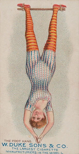The Foot Hang, from the Gymnastic Exercises series (N77) for Duke brand cigarettes, 1887
