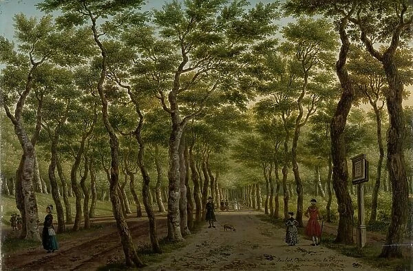 Footpath in the Haagse Bos, 1778. Creator: Paulus Constantijn la Fargue