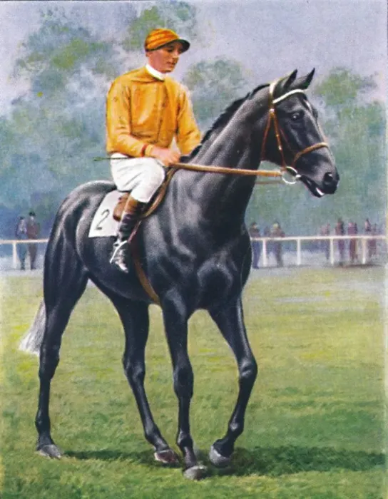 Framed Print : Foray, Jockey: P. Beasley, 1939 Framed Print : Foray, Jockey: P. Beasley, 1939