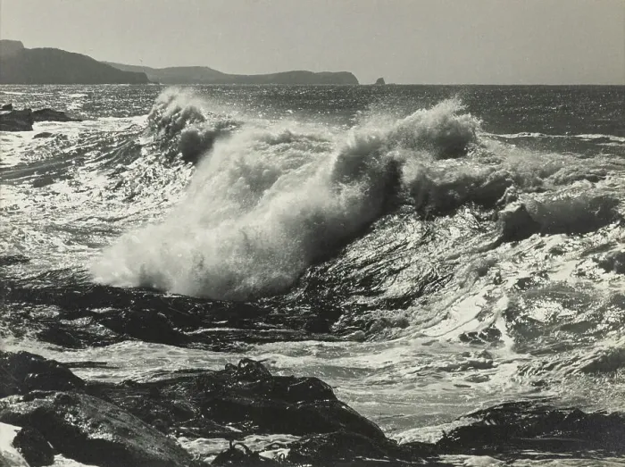 Framed Print : Force unfurling, c1920-1946. Creator: Thelma Kent Framed Print : Force unfurling, c1920-1946. Creator: Thelma Kent