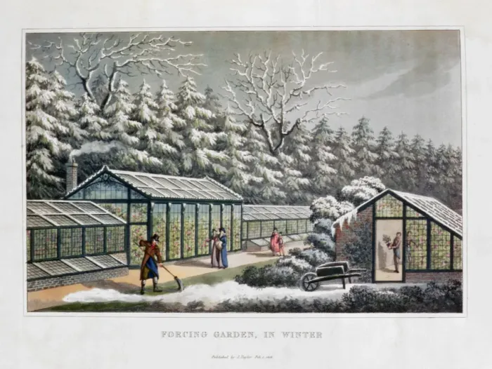 Framed Print : Forcing Garden in Winter, 1816. Artist: Humphry Repton Framed Print : Forcing Garden in Winter, 1816. Artist: Humphry Repton