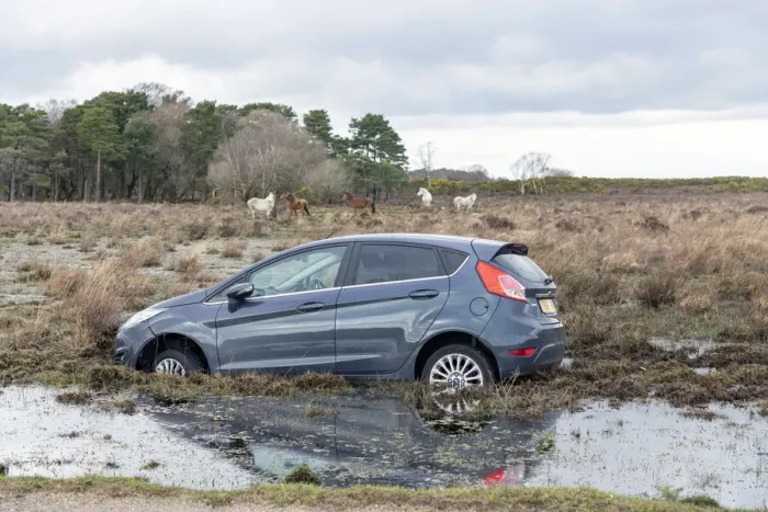 Framed Print : Ford Fiesta accident in New Forest, 2020. Creator: Tim Woodcock