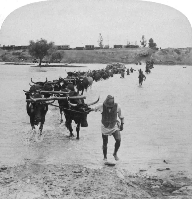 Framed Print : Fording the Modder River, Boer War, South Africa, 15th February 1901. Artist: Underwood & Underwood Framed Print : Fording the Modder River, Boer War, South Africa, 15th February 1901. Artist: Underwood & Underwood