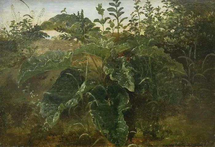 Framed Print : Foreground Study with Dock Leaves, 1840-1849. Creator: Dankvart Dreyer Framed Print : Foreground Study with Dock Leaves, 1840-1849. Creator: Dankvart Dreyer