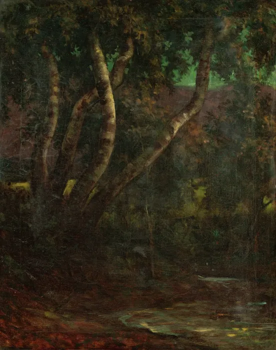 Framed Print : Forest, 1900-1920. Creator: Milan Thomka Mitrovsky Framed Print : Forest, 1900-1920. Creator: Milan Thomka Mitrovsky