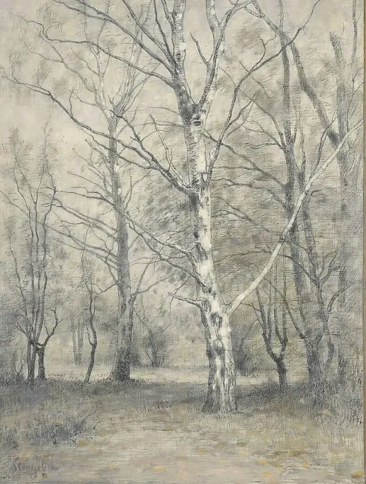 Framed Print : Forest with birch trees, 1875-1910. Creator: Alphonse Stengelin Framed Print : Forest with birch trees, 1875-1910. Creator: Alphonse Stengelin