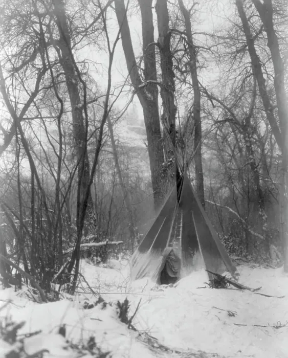 Framed Print : In the forest, c1908. Creator: Edward Sheriff Curtis Framed Print : In the forest, c1908. Creator: Edward Sheriff Curtis