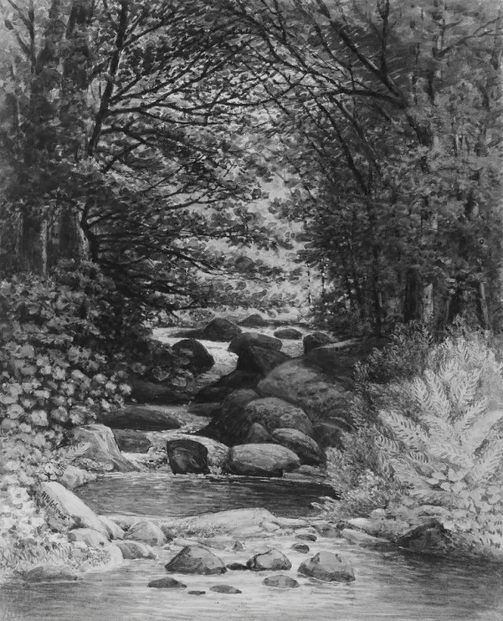 Framed Print : A Forest Cascade at Hiram, Maine, 1859. Creator: Henry Hitchings Framed Print : A Forest Cascade at Hiram, Maine, 1859. Creator: Henry Hitchings