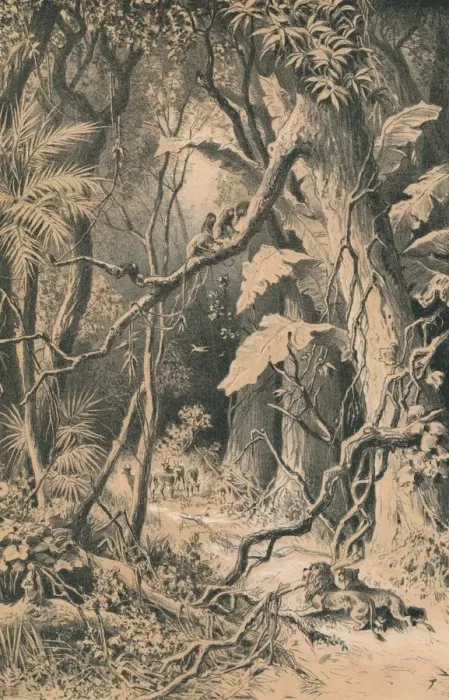 Framed Print : A Forest in Central Africa, c1880 Framed Print : A Forest in Central Africa, c1880