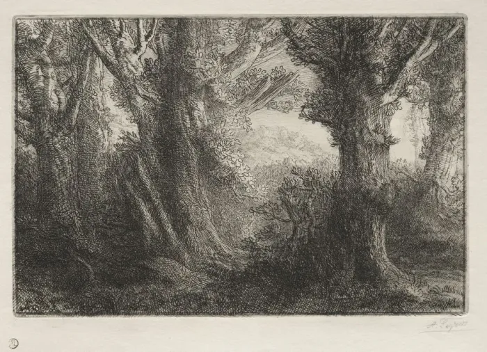Framed Print : In the Forest at Conteville. Creator: Alphonse Legros (French, 1837-1911) Framed Print : In the Forest at Conteville. Creator: Alphonse Legros (French, 1837-1911)