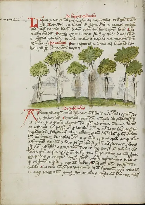 Framed Print : A Forest; Fables, third quarter of 15th century. Creator: Unknown Framed Print : A Forest; Fables, third quarter of 15th century. Creator: Unknown