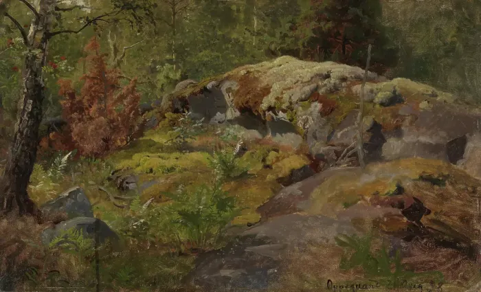 Framed Print : Forest Floor, 1858. Creator: Hans Gude Framed Print : Forest Floor, 1858. Creator: Hans Gude