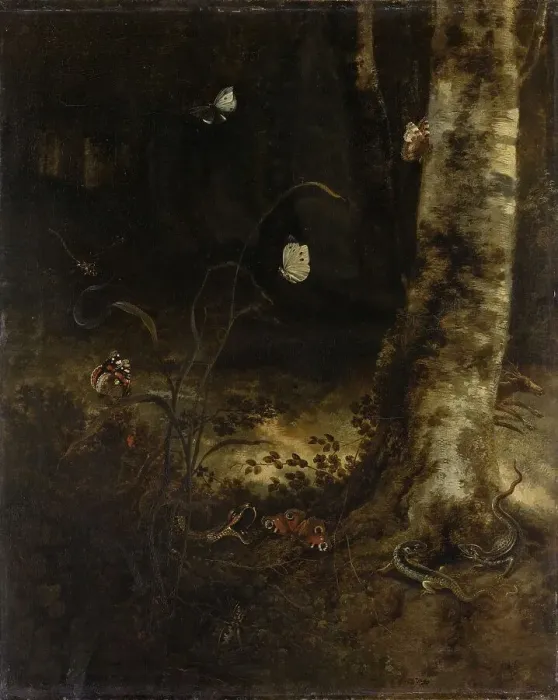 Framed Print : Forest Floor with a Snake, Lizards, Butterflies and other Insects, 1650-1678. Creator: Otto Marseus van Schrieck Framed Print : Forest Floor with a Snake, Lizards, Butterflies and other Insects, 1650-1678. Creator: Otto Marseus van Schrieck