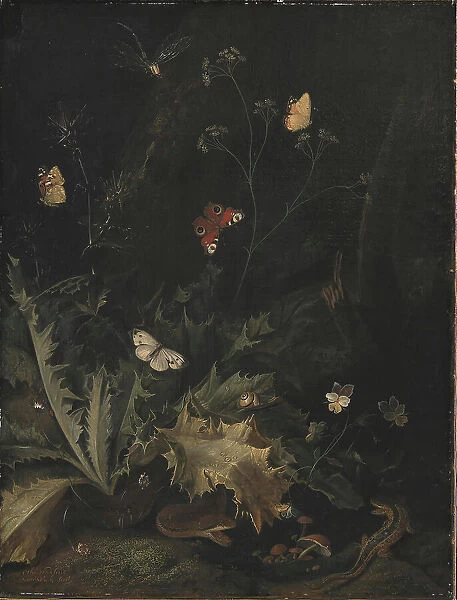 A Forest Floor with a Thistle, a Snake, a Lizard and Butterflies;Still Life, 1635-1678. Creator: Otto Marseus van Schrieck