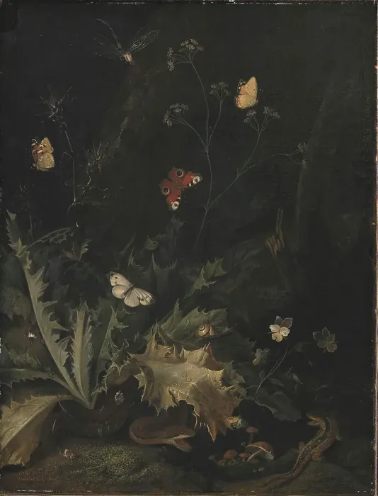 Framed Print : A Forest Floor with a Thistle, a Snake, a Lizard and Butterflies;Still Life, 1635-1678. Creator: Otto Marseus van Schrieck Framed Print : A Forest Floor with a Thistle, a Snake, a Lizard and Butterflies;Still Life, 1635-1678. Creator: Otto Marseus van Schrieck