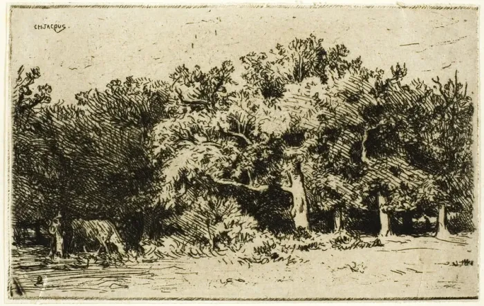 Framed Print : A Part of the Forest of Fontainebleau, 1849. Creator: Charles Emile Jacque Framed Print : A Part of the Forest of Fontainebleau, 1849. Creator: Charles Emile Jacque