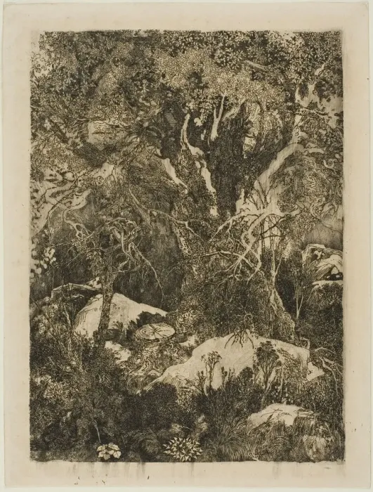 Framed Print : The Forest of Fontainebleau, 1880. Creator: Rodolphe Bresdin Framed Print : The Forest of Fontainebleau, 1880. Creator: Rodolphe Bresdin