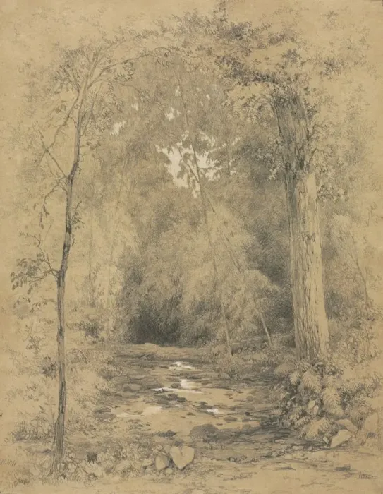 Framed Print : Forest Interior, c. 1870. Creator: John Henry Hill (American, 1839-1922) Framed Print : Forest Interior, c. 1870. Creator: John Henry Hill (American, 1839-1922)
