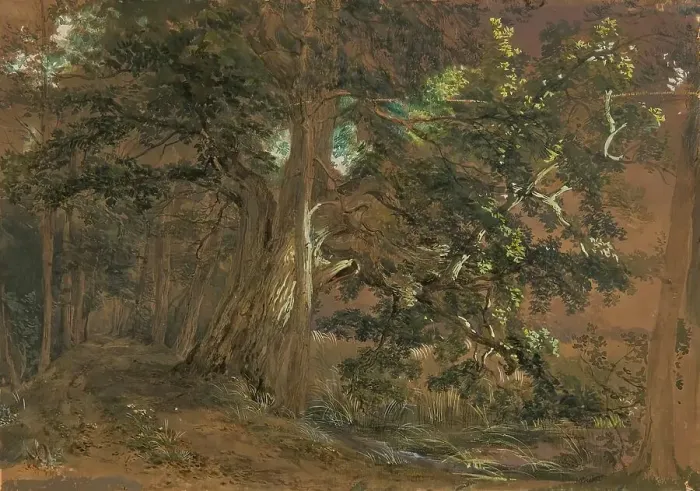 Framed Print : Forest interior near Lundenburg (maple group at a mountain lake), undated. Creator: Joseph Hoger Framed Print : Forest interior near Lundenburg (maple group at a mountain lake), undated. Creator: Joseph Hoger