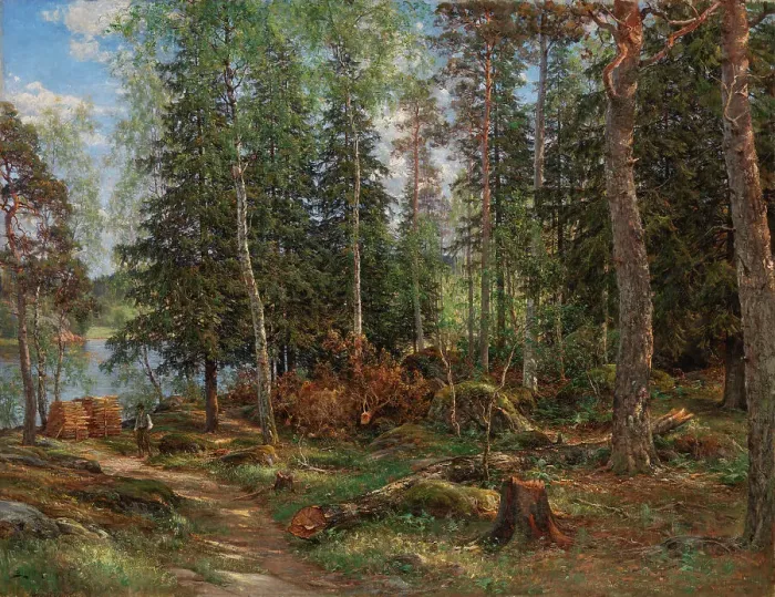 Framed Print : Forest interior, subject from Laajasalo, Helsinki, 1886. Creator: Berndt Lindholm