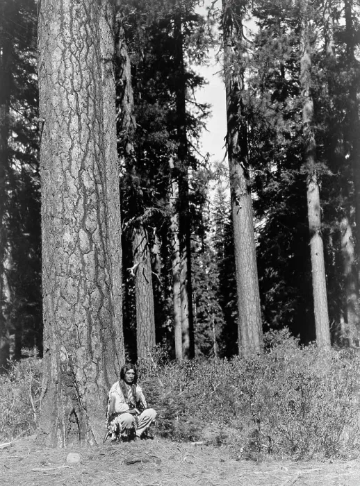 Framed Print : In the forest-Klamath, c1923. Creator: Edward Sheriff Curtis Framed Print : In the forest-Klamath, c1923. Creator: Edward Sheriff Curtis