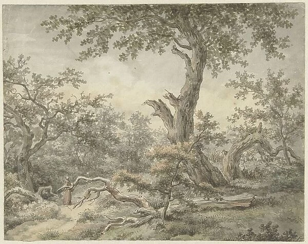 Forest landscape, 1756-1826. Creator: Cornelis Buys